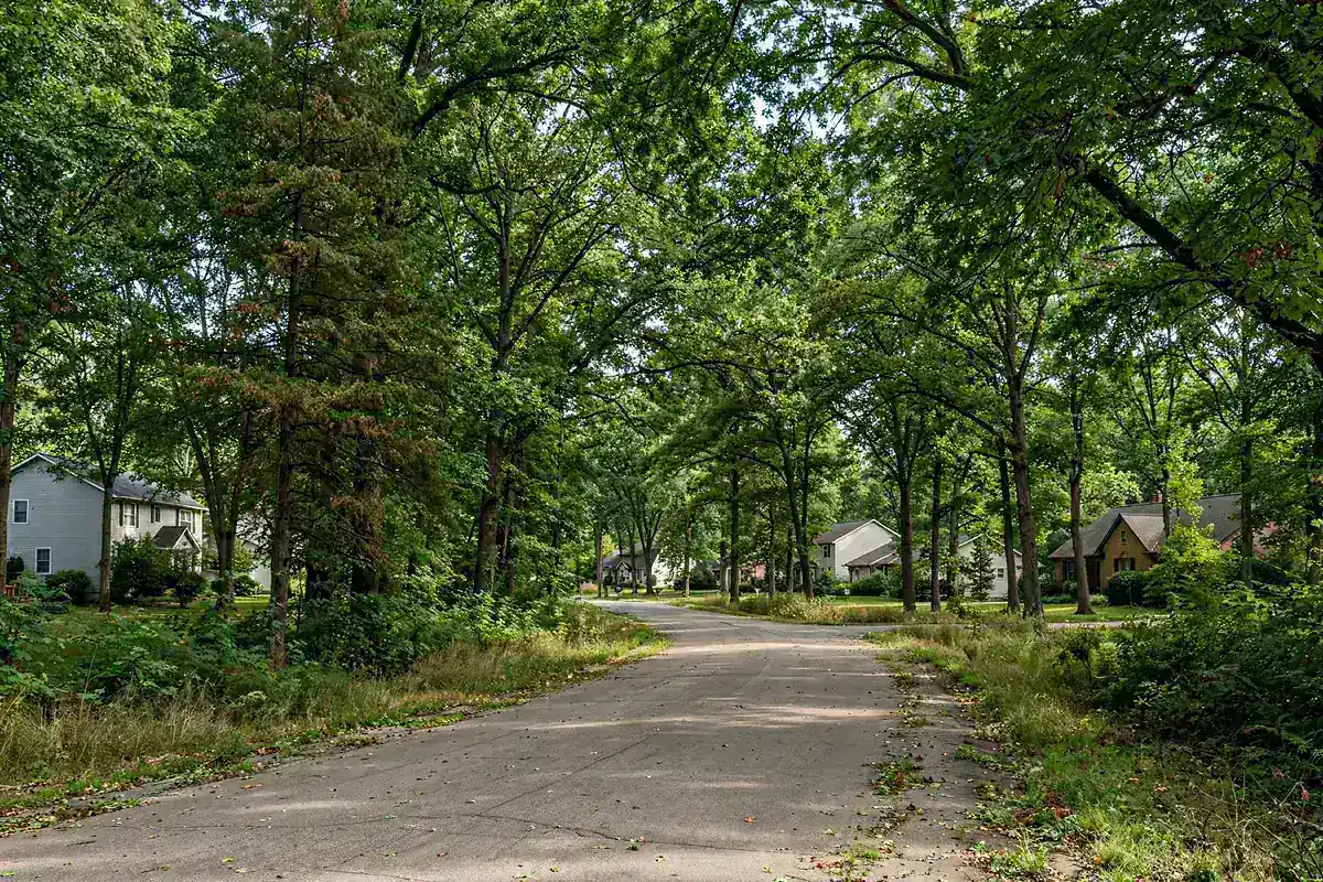 Wooded residential road in Bettendorf, IA